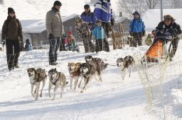 Lenk 2012 SM
